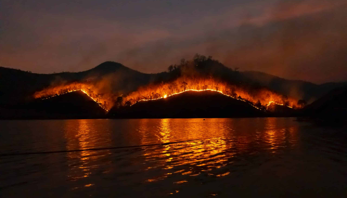 Όλοι μαζί τα κάψαμε